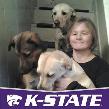 Janet cook with 3 dogs sitting on the steps. A Kansas State University banner on the bottom of the picture.